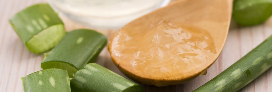 bienfaits de l’Aloe Vera