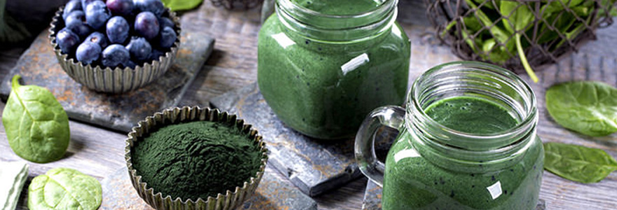 la spiruline est un aliment extrêmement nutritif