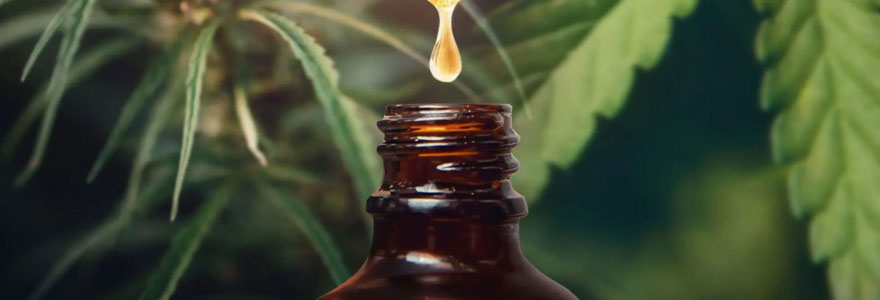 Huiles essentielles CBD