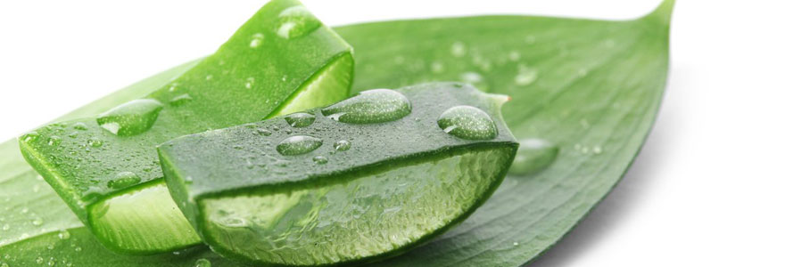 Aloe vera Gelly