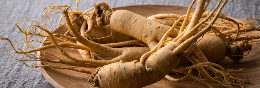 ginseng